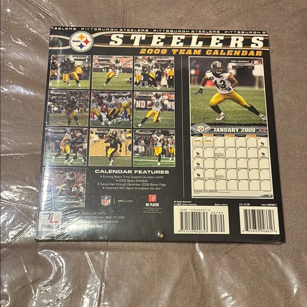 Pittsburgh Steelers 2009 Mini Calendar